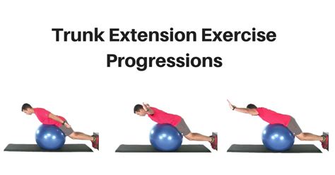 trunk extensor strength and flexibility exercises