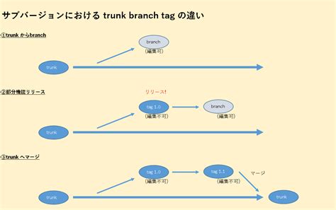 Trunk Svn Definition