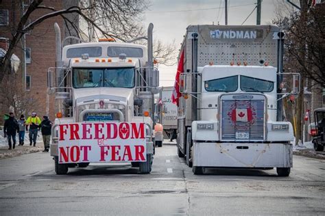 truth about the freedom convoy