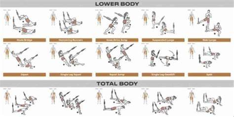 No More SitUps 7 Best TRX Moves to Work Your Abs
