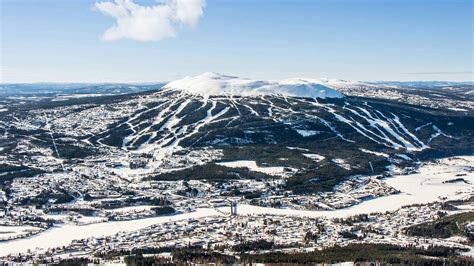 trysil kommuneskoger kf