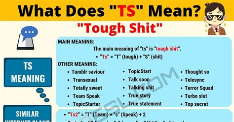 ts meaning in text