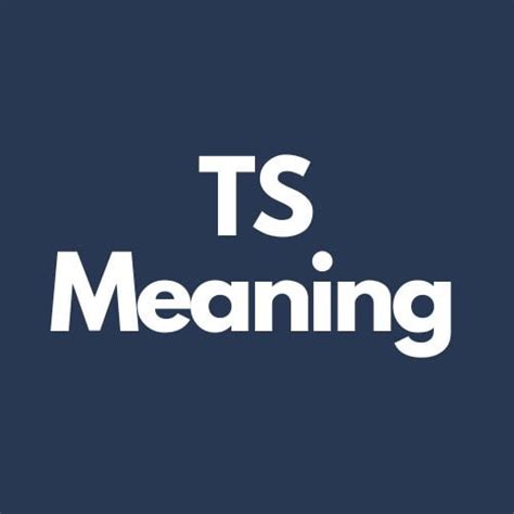 ts meaning in text instagram