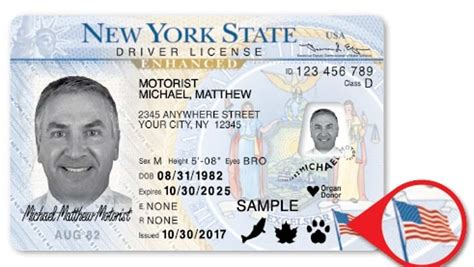tsa enhanced id