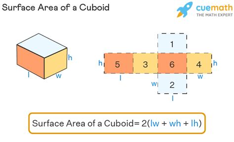 tsa of cuboid formula