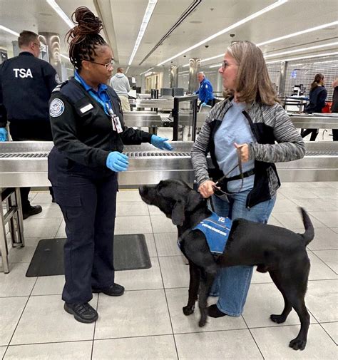 Tsa Rules On Dogs