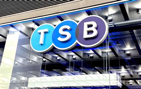 tsb van insurance