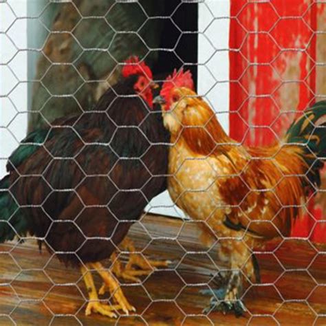 tsc poultry netting