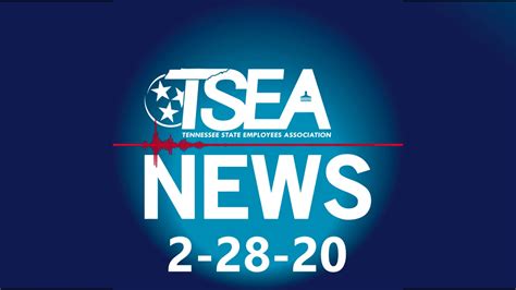 tsea news