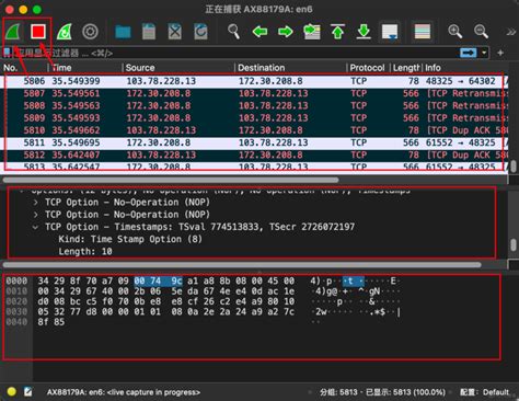 tsecr wireshark