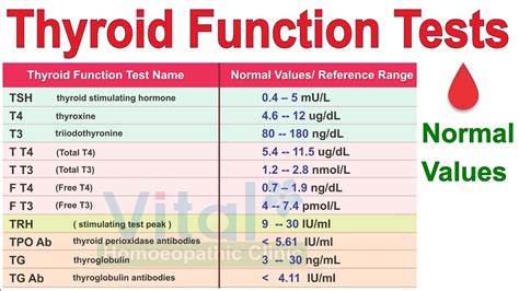Understanding Your TSH Test: What is the Normal Range and What Do the Results Mean?