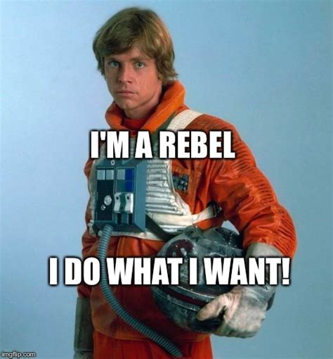 tsr tumblr rebels meme