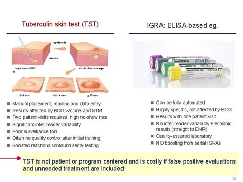 tst adalah