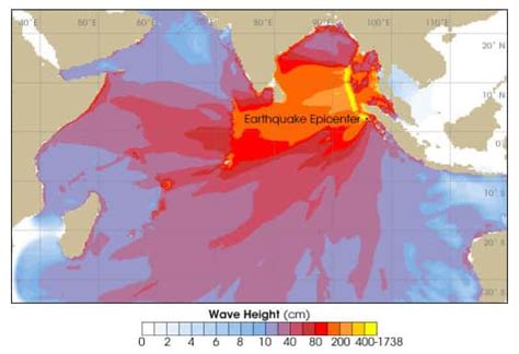 tsunami hauteur estimation