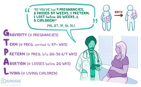 ttc stands for pregnancy