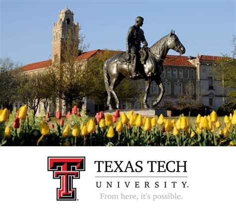 Ttu Course Catalog