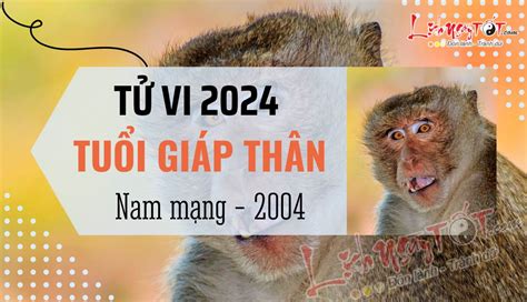 tu vi tuoi giap than 2004