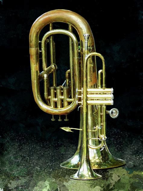 Tuba Trumpet Difference