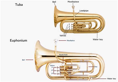 Tuba Vs Euphonium