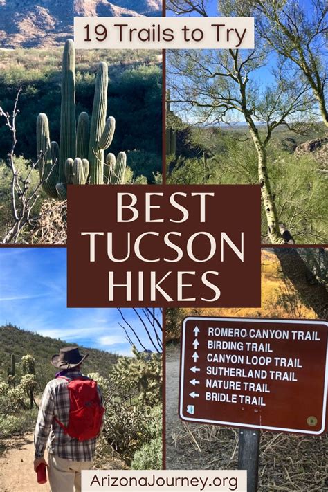Hiking the Seven Falls Trail in Tucson, Arizona A Waterfall Oasis in