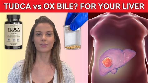 tudca vs ox bile