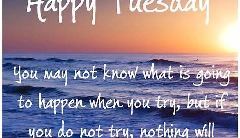 Tuesday Quote Of The Day For Work Motivational s Inspiration