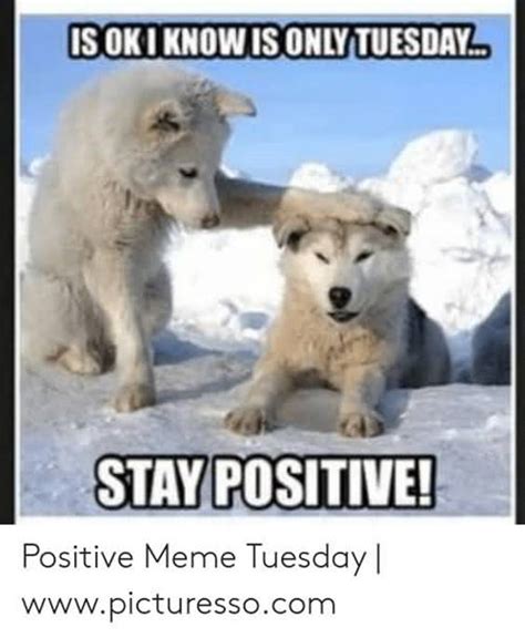Tuesday Meme Positive