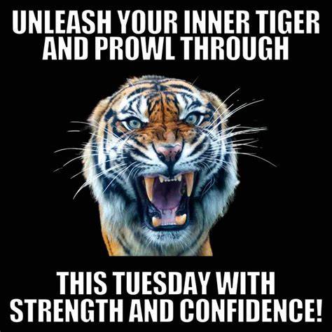 Pin on Funny morning memes