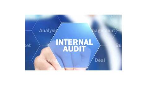 Tugas pengauditan audit internal