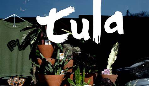 Tula Plants and Design Crescent Lookbook | Plant design, Plants, Unique