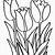 tulip coloring pages