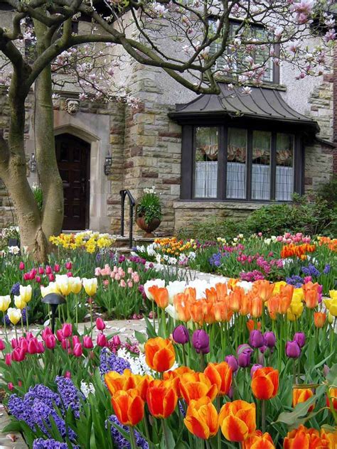 24+ Wonderful Tulips Arrangement Tips for Your Home Garden Ideas Page
