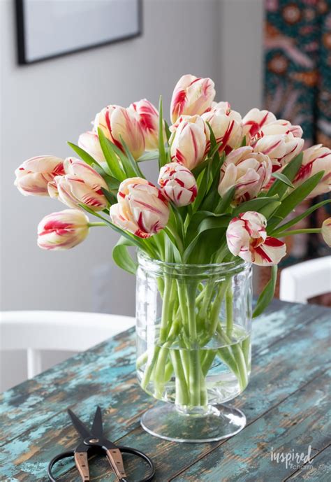 Tulips In Vase Tips