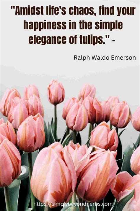 Tulips Quotes Funny