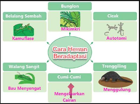 Tulis Kesimpulanmu Tentang Cara Hewan Beradaptasi Pada Diagram Berikut