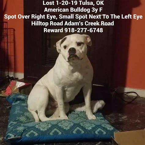 tulsa craigslist pets