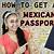 tulum mexico passport