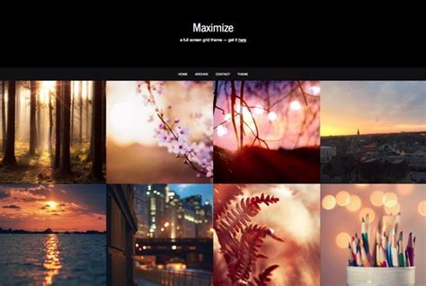 20+ Best Tumblr Themes for Photographers Theme Junkie