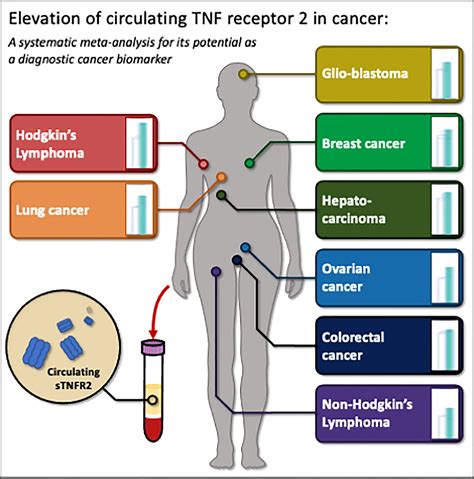 tumor marker blood test for liver cancer