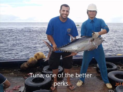 Tuna Boat Pilot