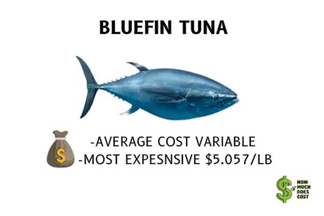 Tuna Fish Cost