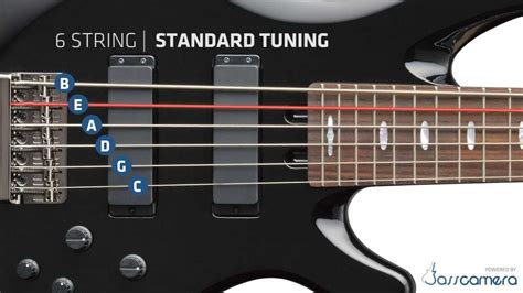 Bass Guitar Tuning Guide How to Tune Bass Guitars Sweetwater