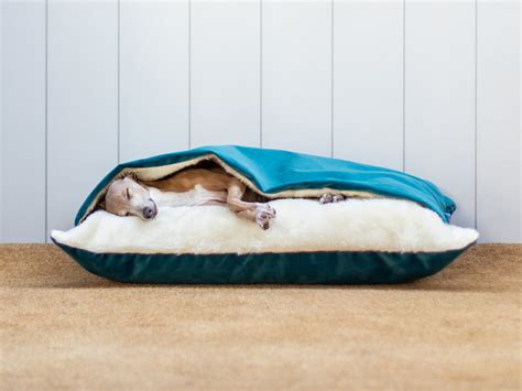 Tunnel Dog Beds