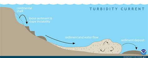 Turbidity Flow