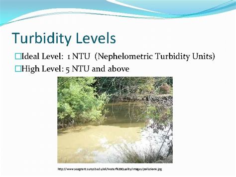 Turbidity Ntu Limit