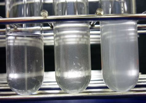 Turbidity Test Wiki