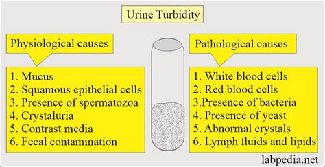 Turbidity Urine Causes