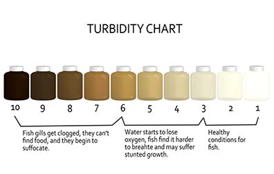 Turbidity Water