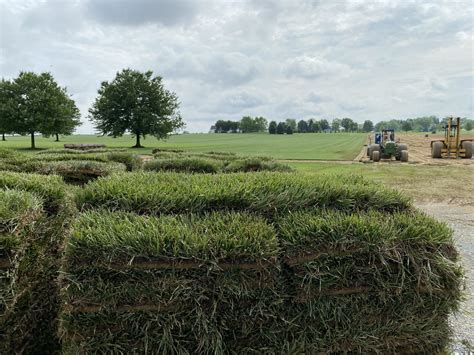 turf farm near me delivery