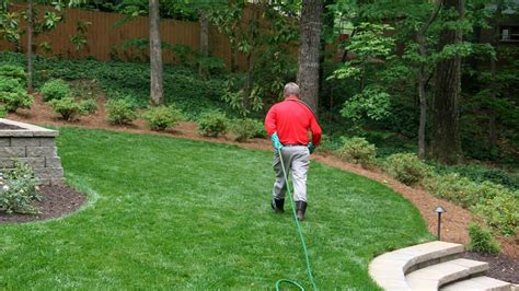 turf masters lawn service